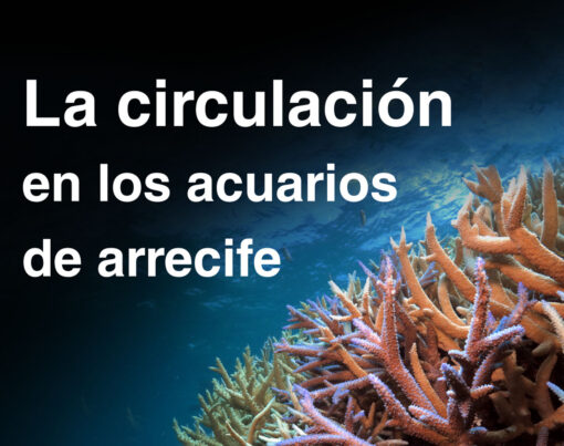 La circulación en los acuarios de arrecife