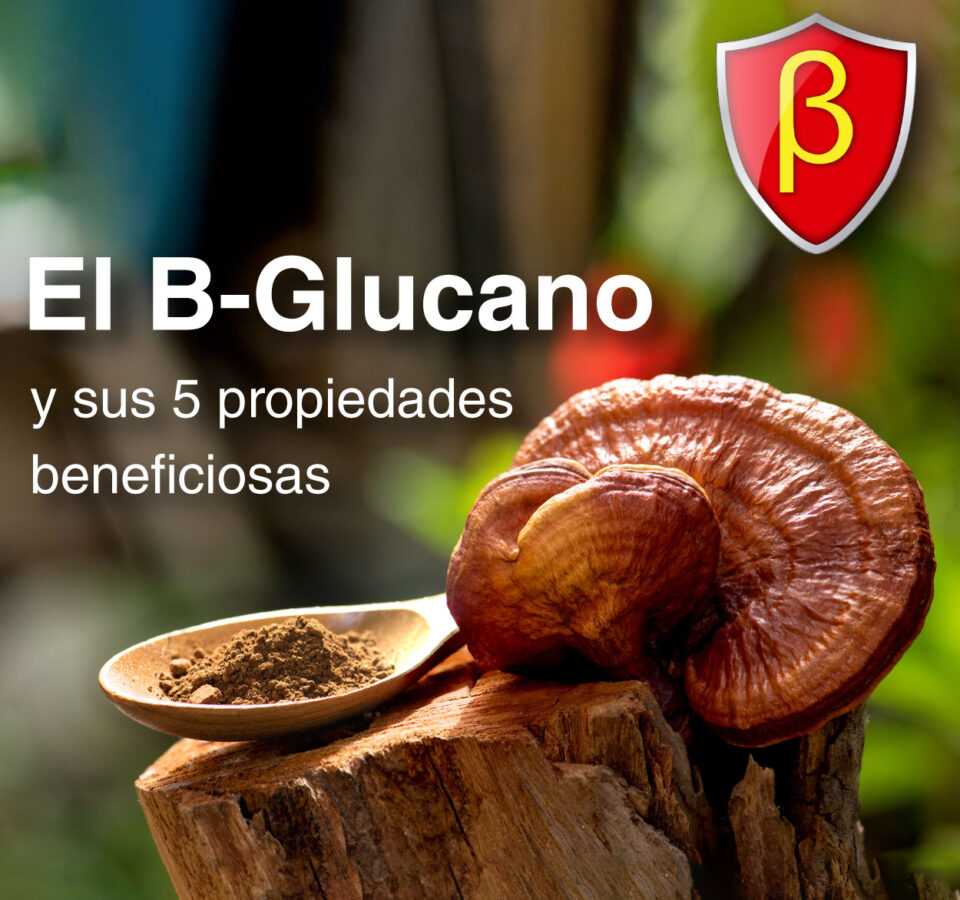 El B-Glucano y sus 5 propiedades beneficiosas