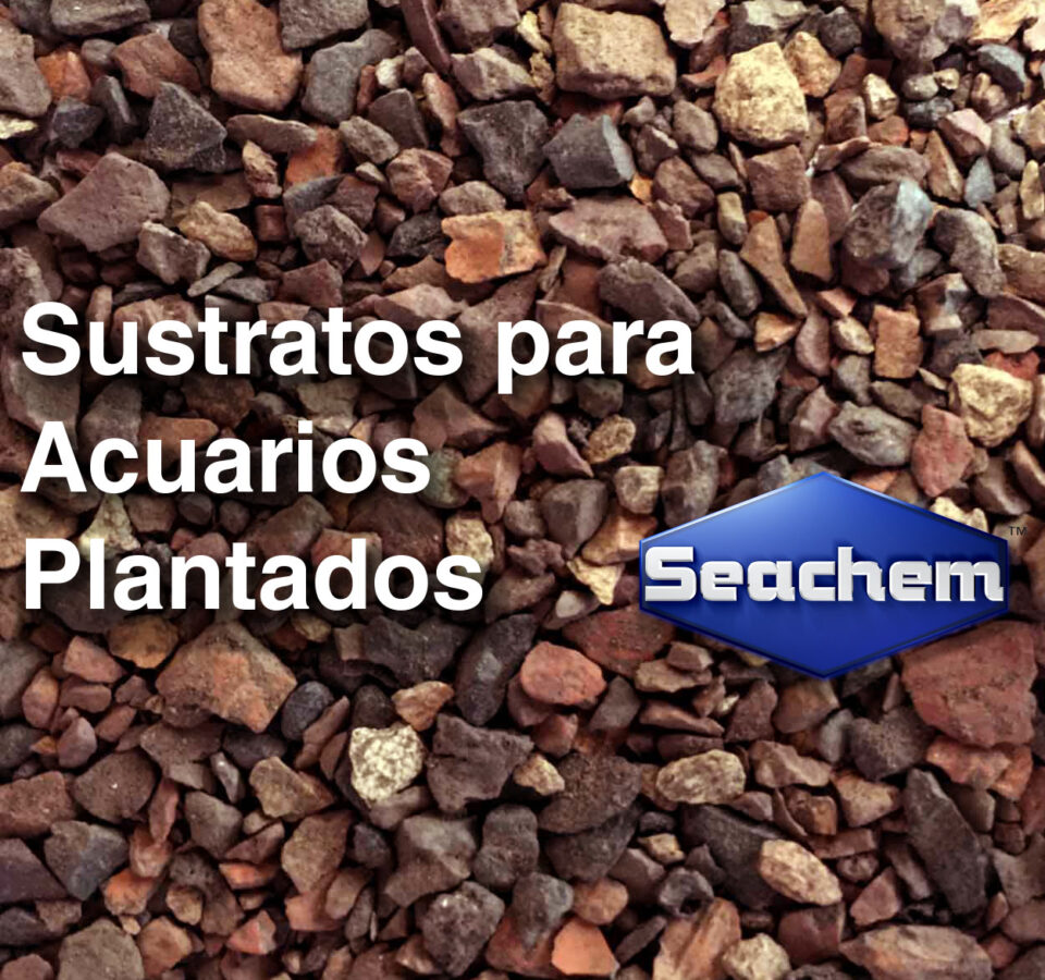 Sustratos para Acuarios Plantados