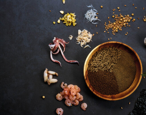 slide-ultra-fresh-01