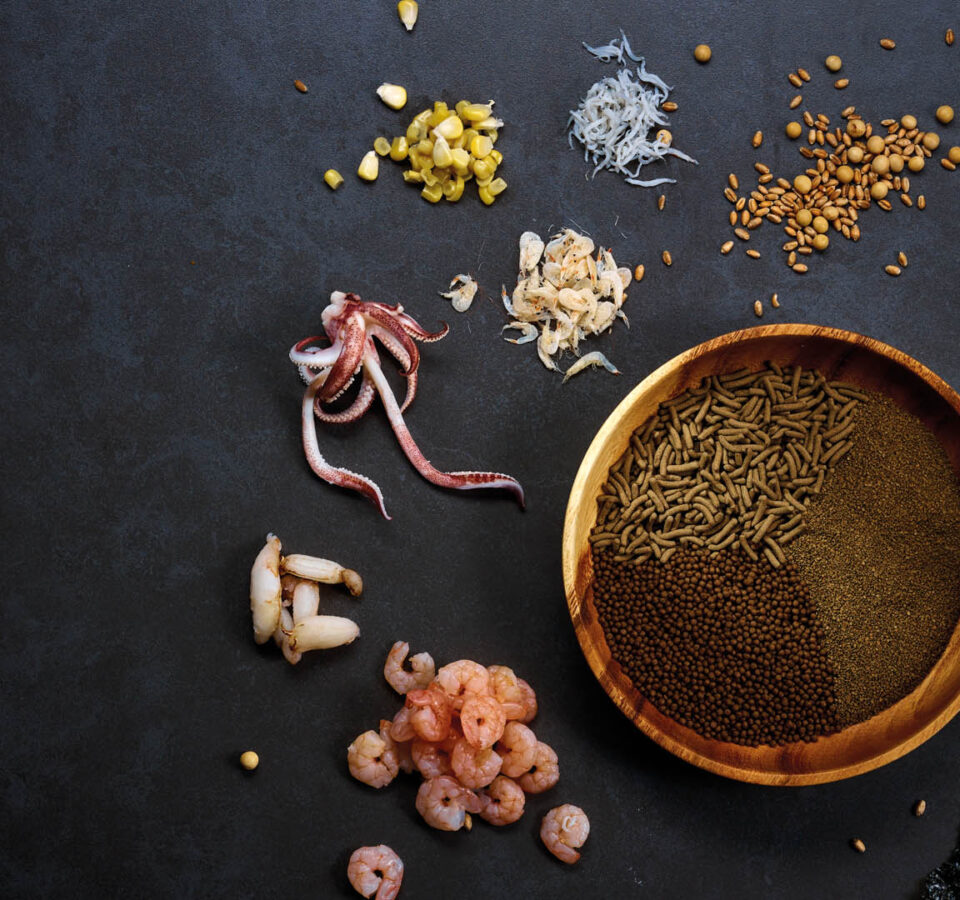 slide-ultra-fresh-01